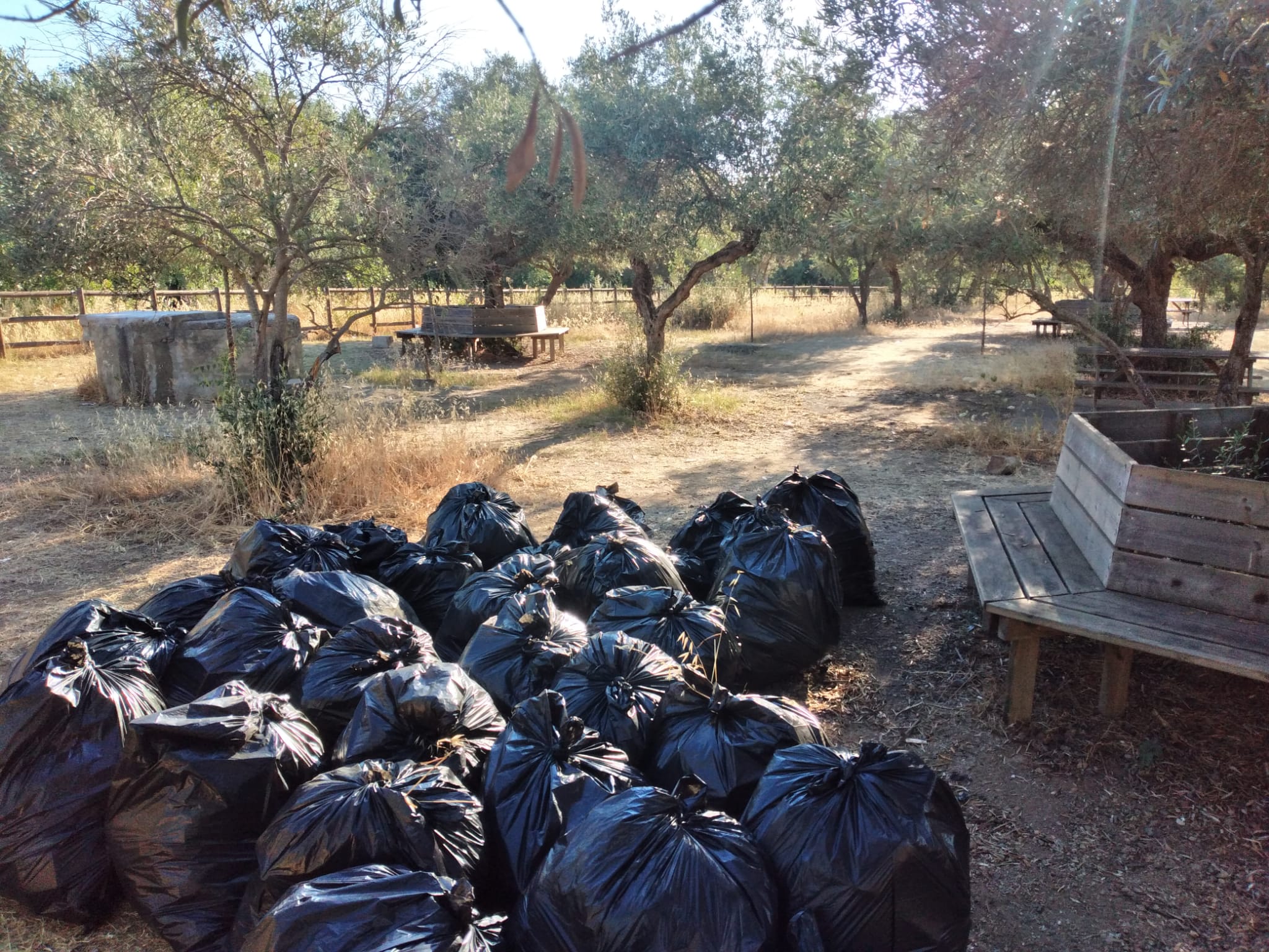 WhatsApp Image 2021-06-29 at 09.02.49