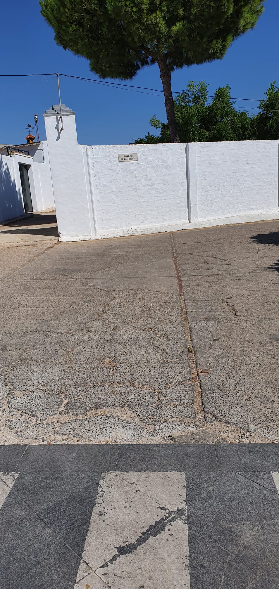 WhatsApp Image 2021-07-14 at 11.37.34 (2)