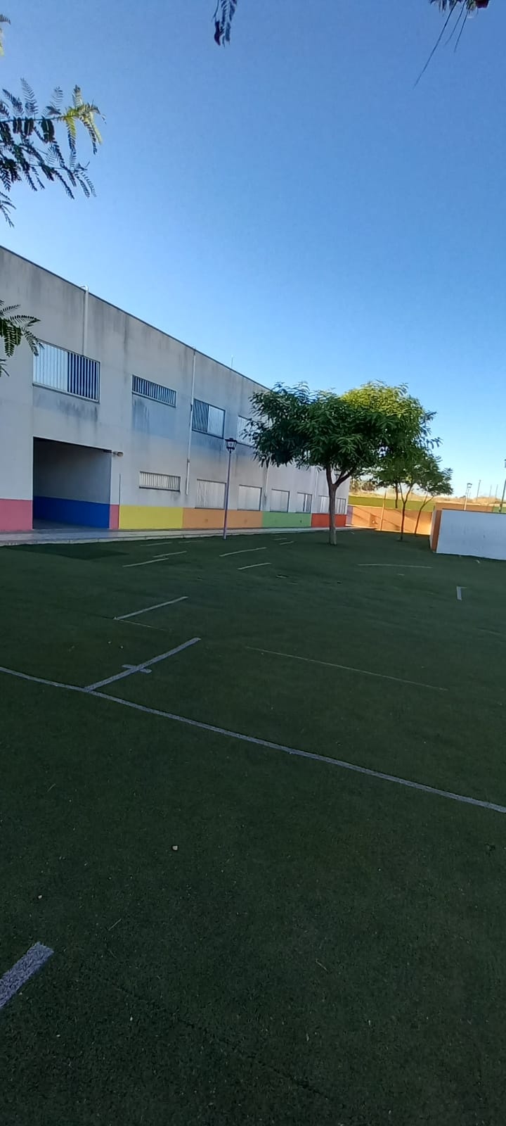 WhatsApp Image 2022-07-27 at 9.10.16 AM