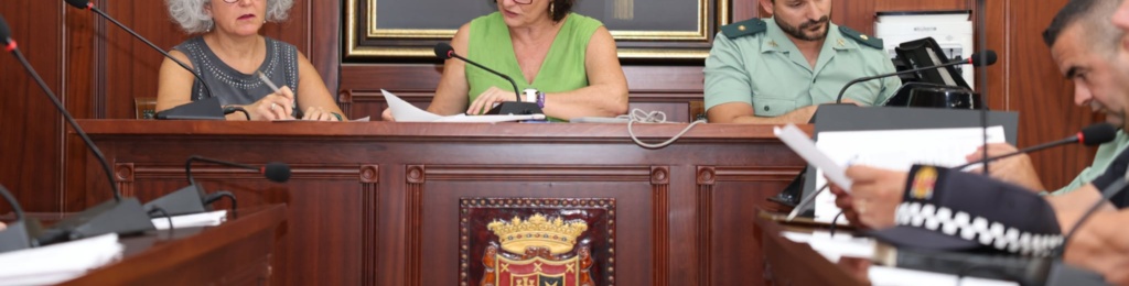 ESPARTINAS, UN AÑO MÁS, REGISTRA UN DESCENSO EN EL NÚMERO DE DELITOS