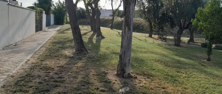 20260507_065603000_iOS