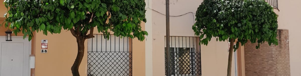 TRABAJOS REALIZADOS POR EL DEPARTAMENTO DE MEDIO AMBIENTE DURANTE ESTA SEMANA
