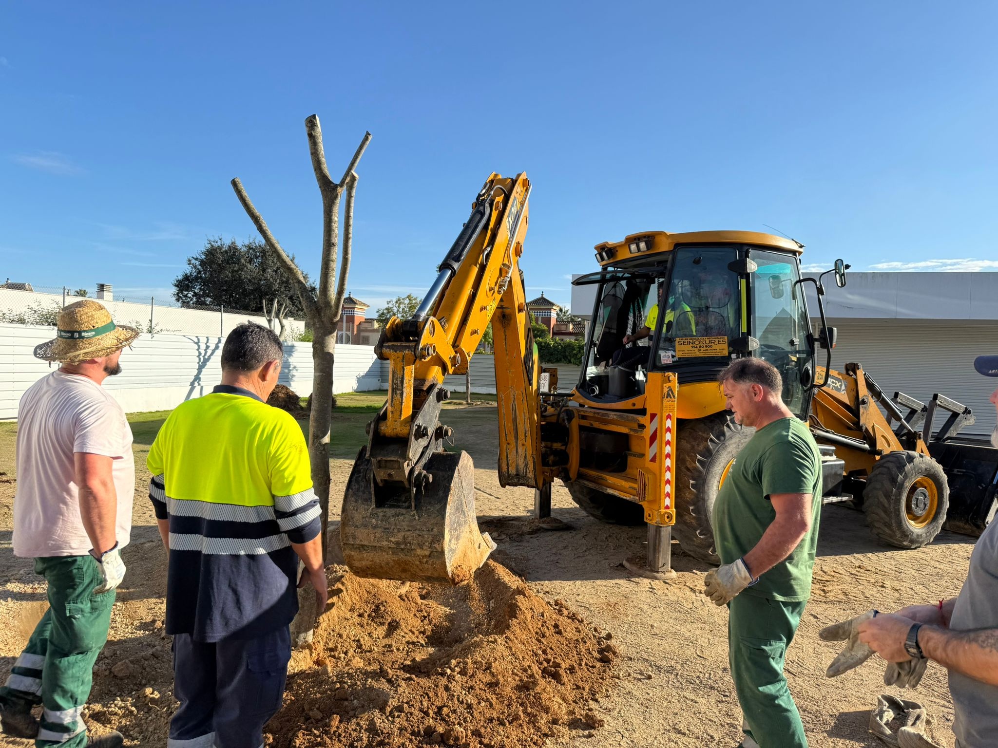 PLANTACIÓN ARBOLES MARI CARMEN GUTIERREZ (5)