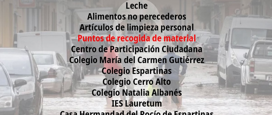 danavalenciapuntosrecogida