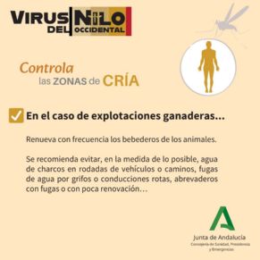 nilo7