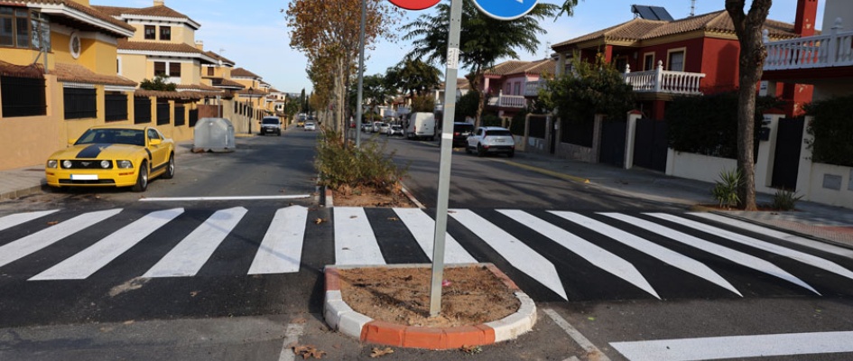 pasos-sobreelevados-(16)